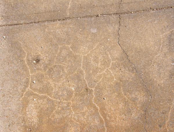 Simple Concrete Texture