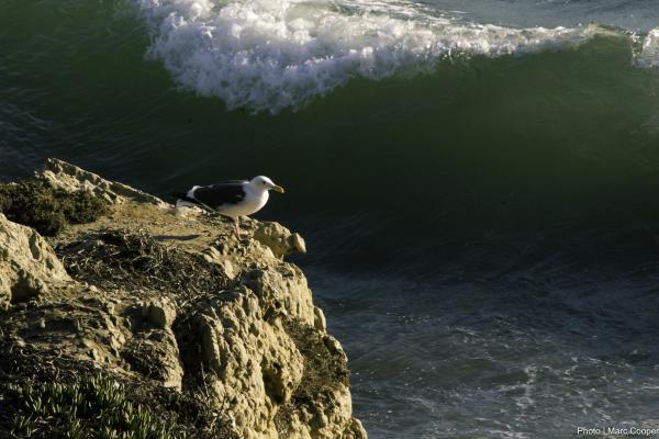 Sittin' On The Rock Of The Bay