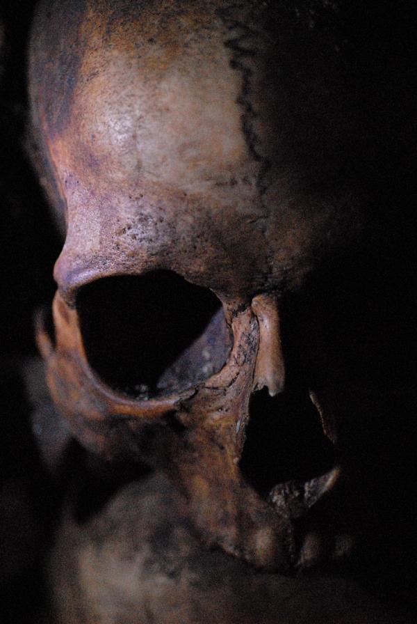 Skull