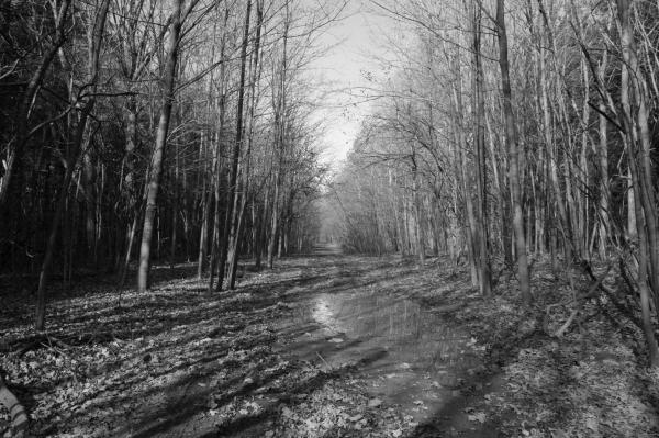 Sleepy hollow