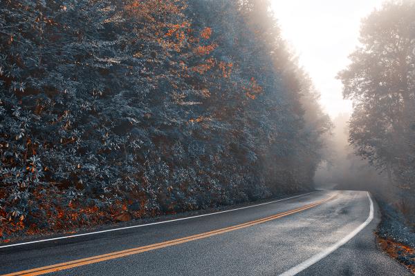 Slick Mist Forest Road - Autumn Blues HDR