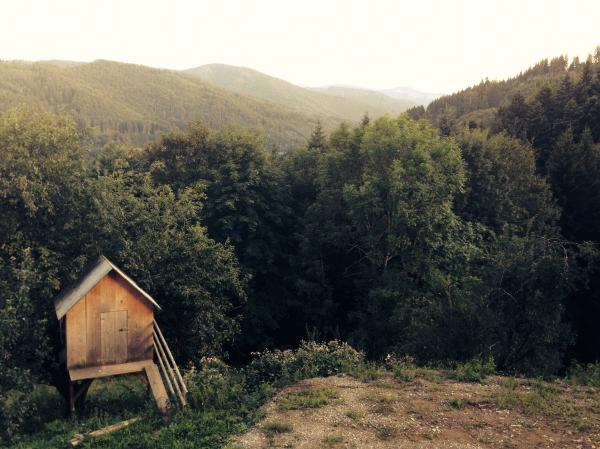 Small House near the Woods