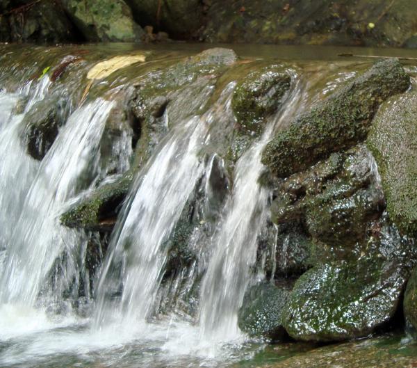 Small Waterfall Over Rocks