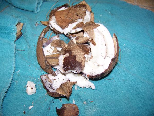 Smashed coconut