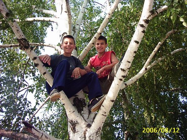 Smiles from the tree