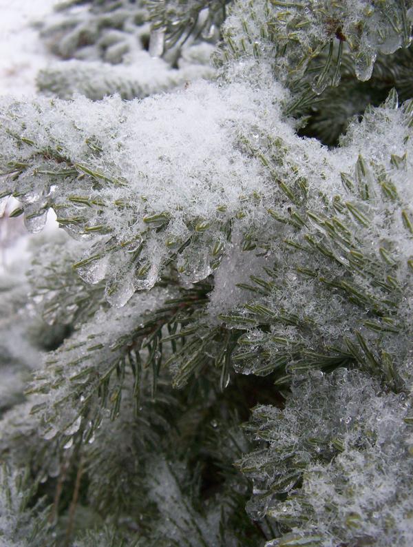 Snow