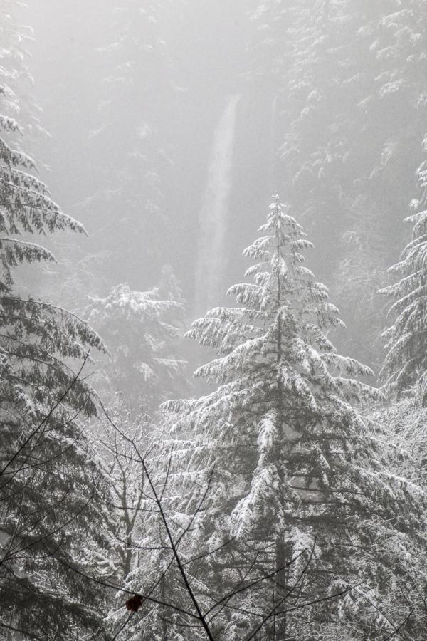 Snow at Silver Falls, Oregon