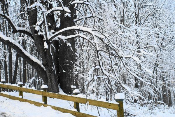 Snow covered