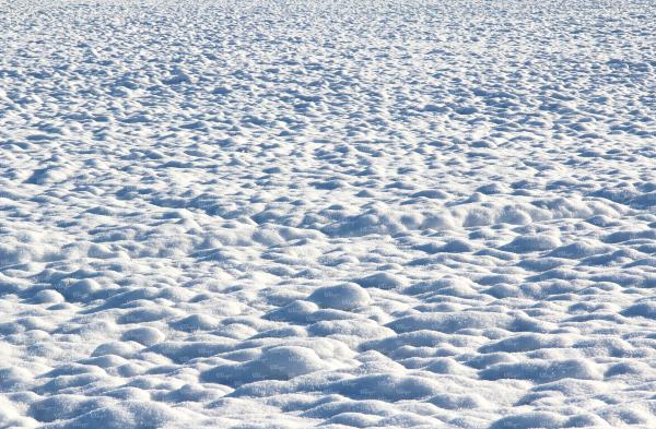 Snow Covered Ground