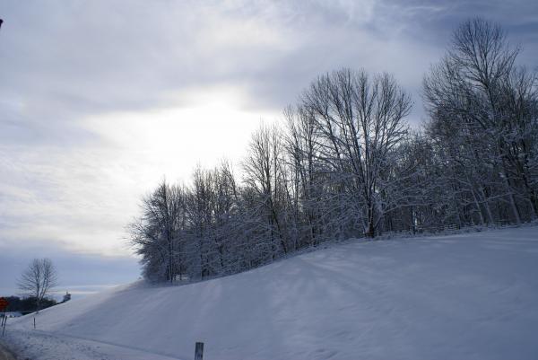 Snow covered