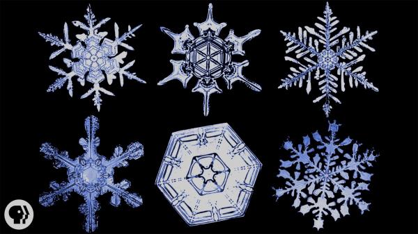 Snow Flakes