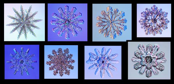 Snow Flakes