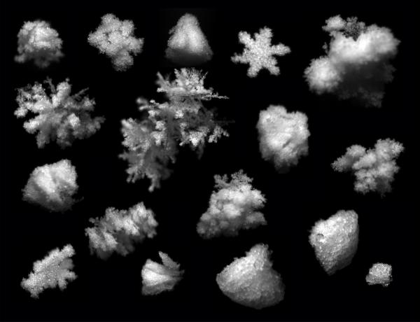 Snow Flakes
