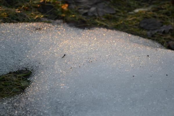Snow / ice reflecting sunshine
