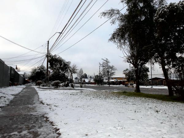 Snow in the Avenue