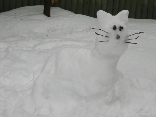 Snow Kitty