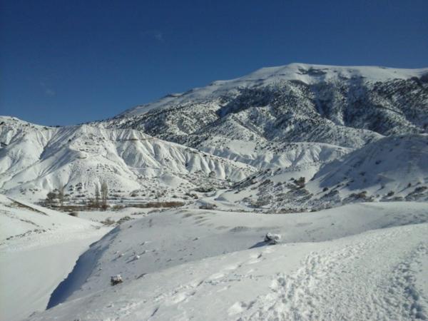 Snow Landscape