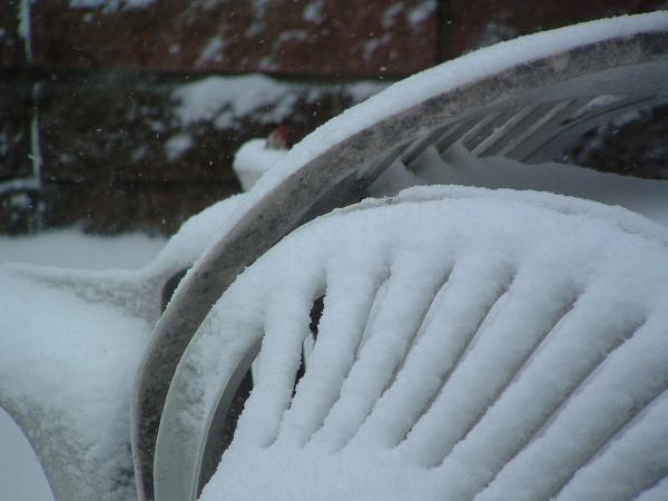 Snow on a Patio Chair