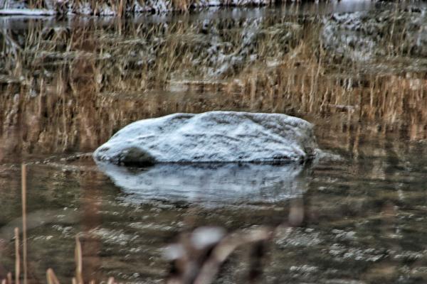 Snow on a rock