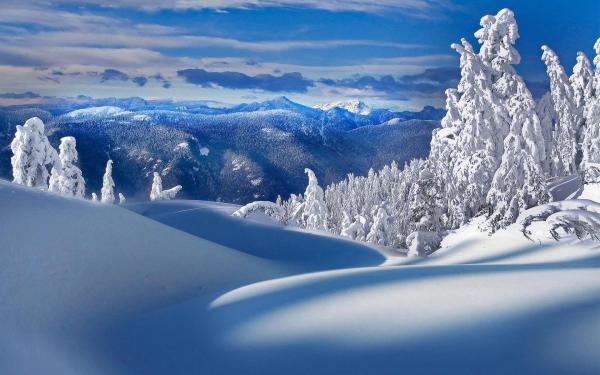 Snowy Hills