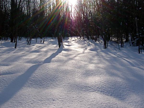 Snow on the ground