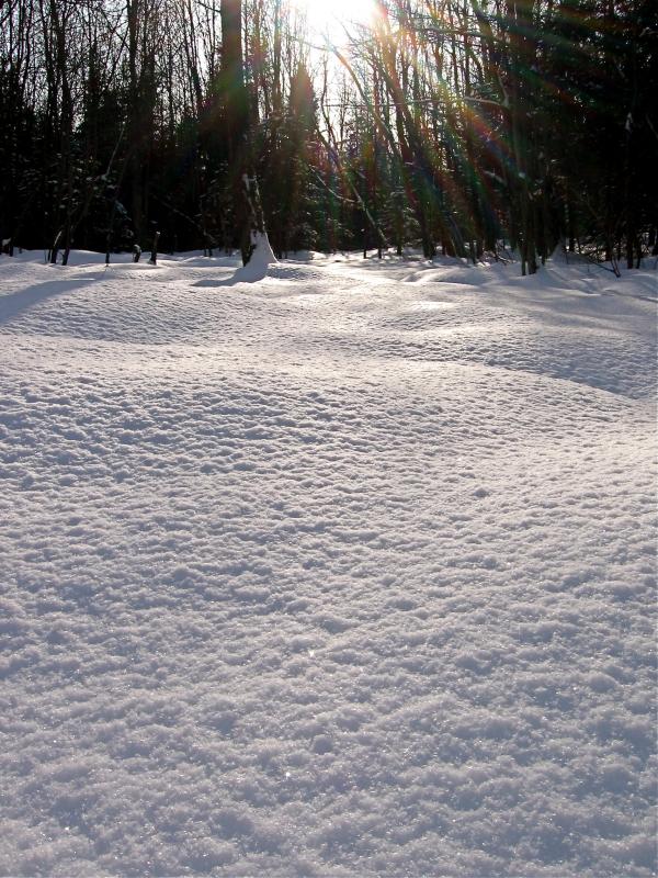Snow on the ground