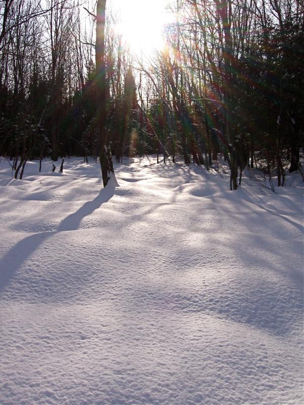 Snow on the ground