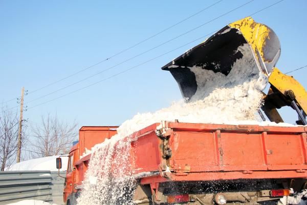 Snow on the truck