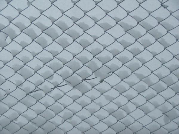 Snow on wire fence
