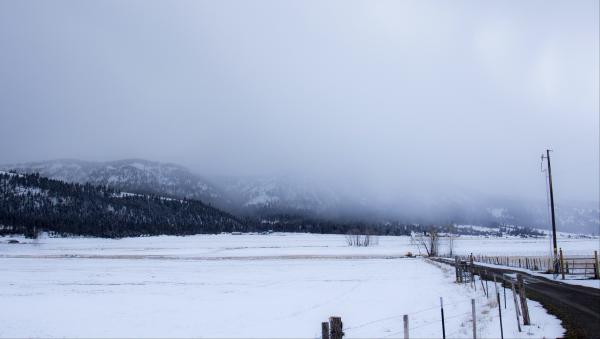 Snow storm on Blue Mountains, Oregon