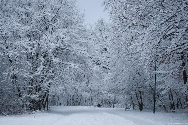 Snowy