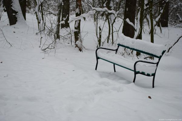 Snowy bench