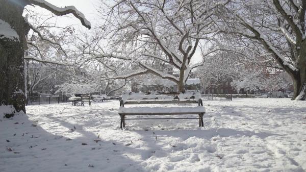 Snowy bench