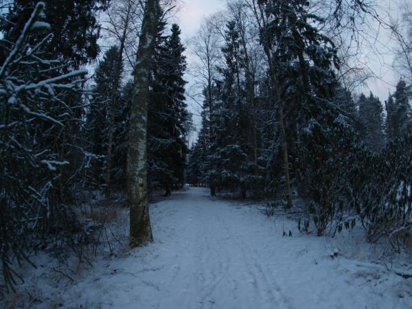 Snowy day