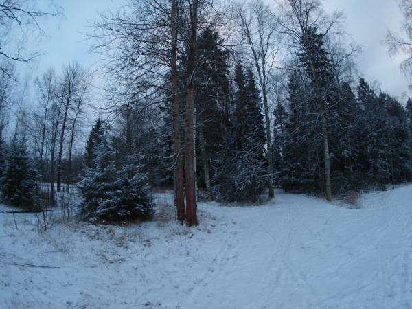 Snowy day