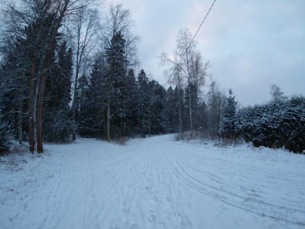 Snowy day