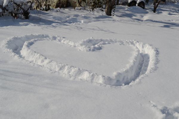 Snowy day