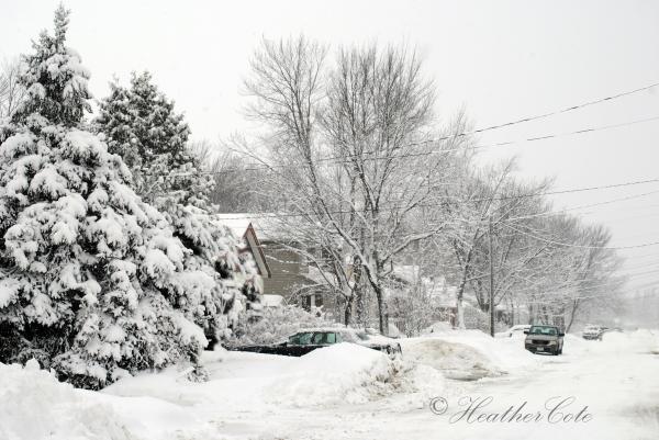 Snowy day