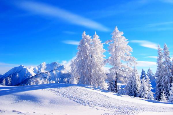 Snowy Landscape