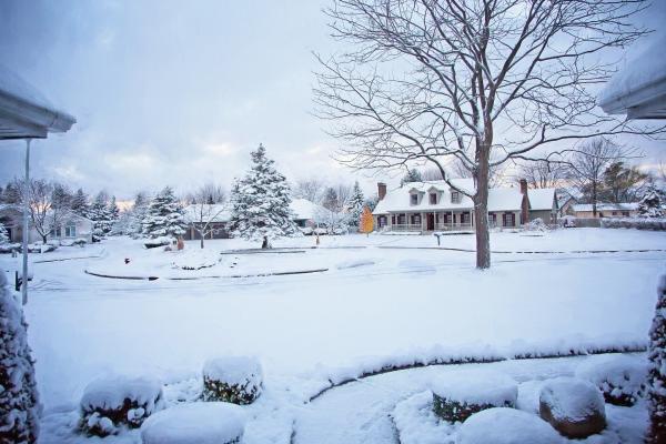 Snowy Neighbourhood