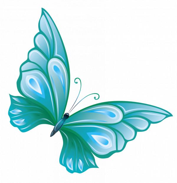 Soft blue butterfly