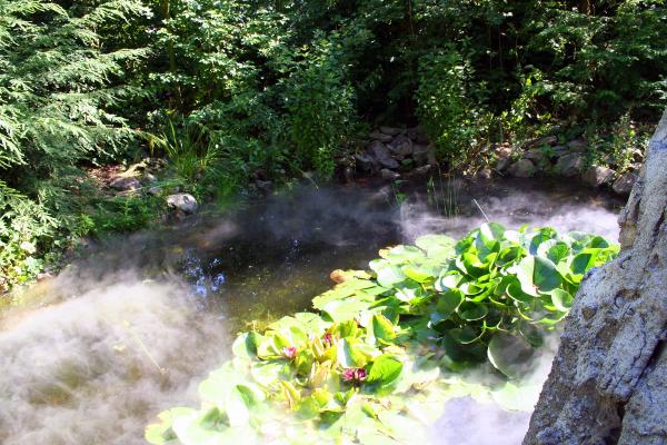 Some water with mist over it