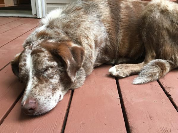 Someone Has to Be At Peace in the World