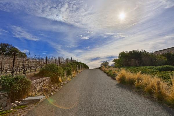 Sonoma Country Road - HDR