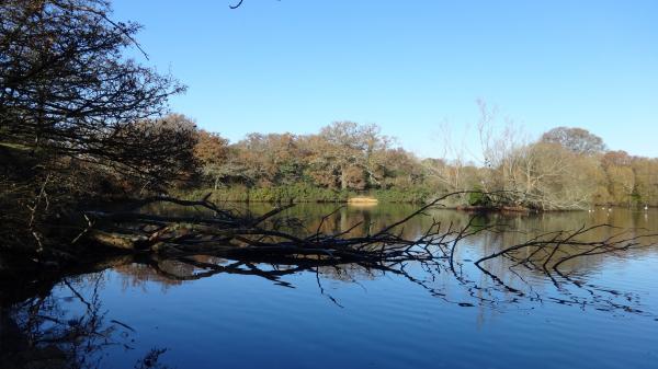 Southampton Common Pond