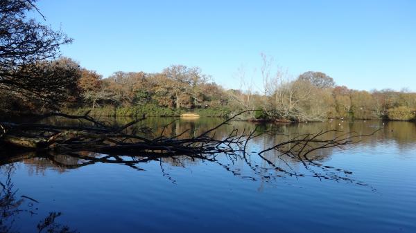 Southampton Common Pond
