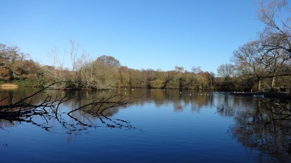 Southampton Common Pond