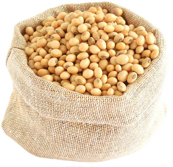 Soy Beans