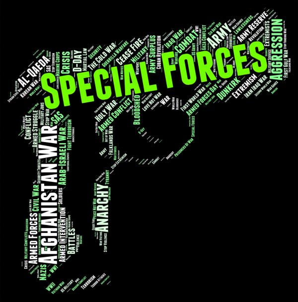 Special Forces Shows High Value And Direct