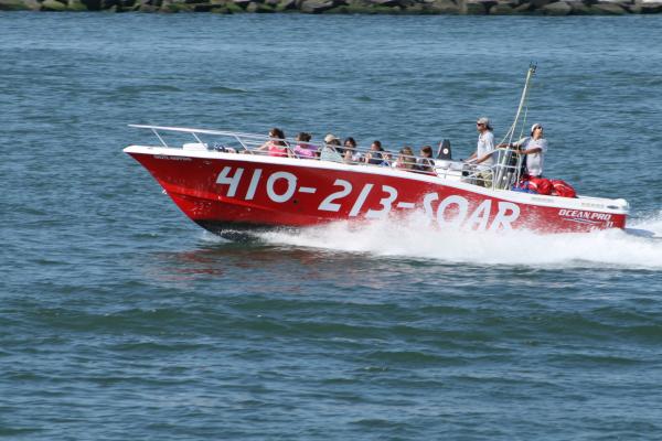 Speed Boat